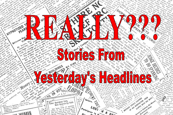 Really??? Cover Kate R. Gillett